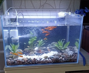 <span class=keywords><strong>Acquario</strong></span> in Vetro Ultra-Trasparente per Decorazione da Scrivania con Design Moderno e Vasca per Pesci - Product Image 5