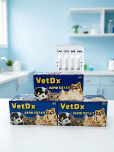 Kit de Prueba Rápida para Detectar Anaplasma Ehrlichia EHR/LSH/<span class=keywords><strong>ANA</strong></span>/CHW en Sangre de Perro, Instrumento Veterinario para el Cuidado de Mascotas - Product Image 4