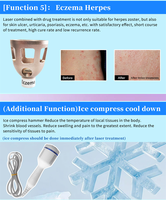 Machine de beauté multifonctionnelle OEM/ODM au prix d'usine ZS pour salons de beauté : élimination des varices/anti-douleur/anti-âge