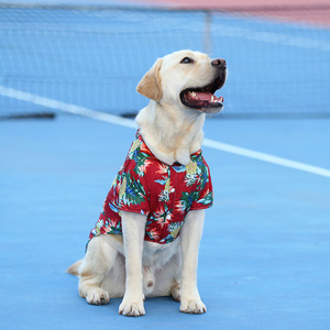 Vêtements pour animaux de compagnie, chemise hawaïenne fine d'été pour Teddy, Bichon, Pomeranian, <span class=keywords><strong>Frenchie</strong></span>, chat, chien, grand chien - Product Image 2