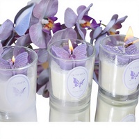 CN Fantasy Schmetterlingsförmige Handgemachte Gemischte Wachs-Aromatherapie-Kerze ohne Duftstoffe als Geschenk für die Freundin