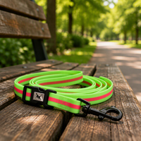Collier pour chien en nylon réfléchissant personnalisé en gros, motif imprimé avec boucle en métal et décoration en ruban