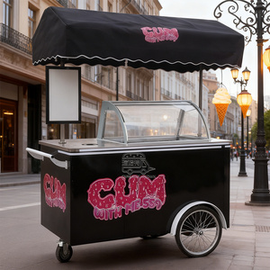 Triciclo para Helados, Portátil, para Helados Italianos, Carrito de Empuje Manual - Product Image 3