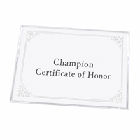 Médaille de récompense personnalisée en acrylique transparent durable et écologique, gravée au laser, impression UV, plaque suspendue pour récompense de performance, OEM
