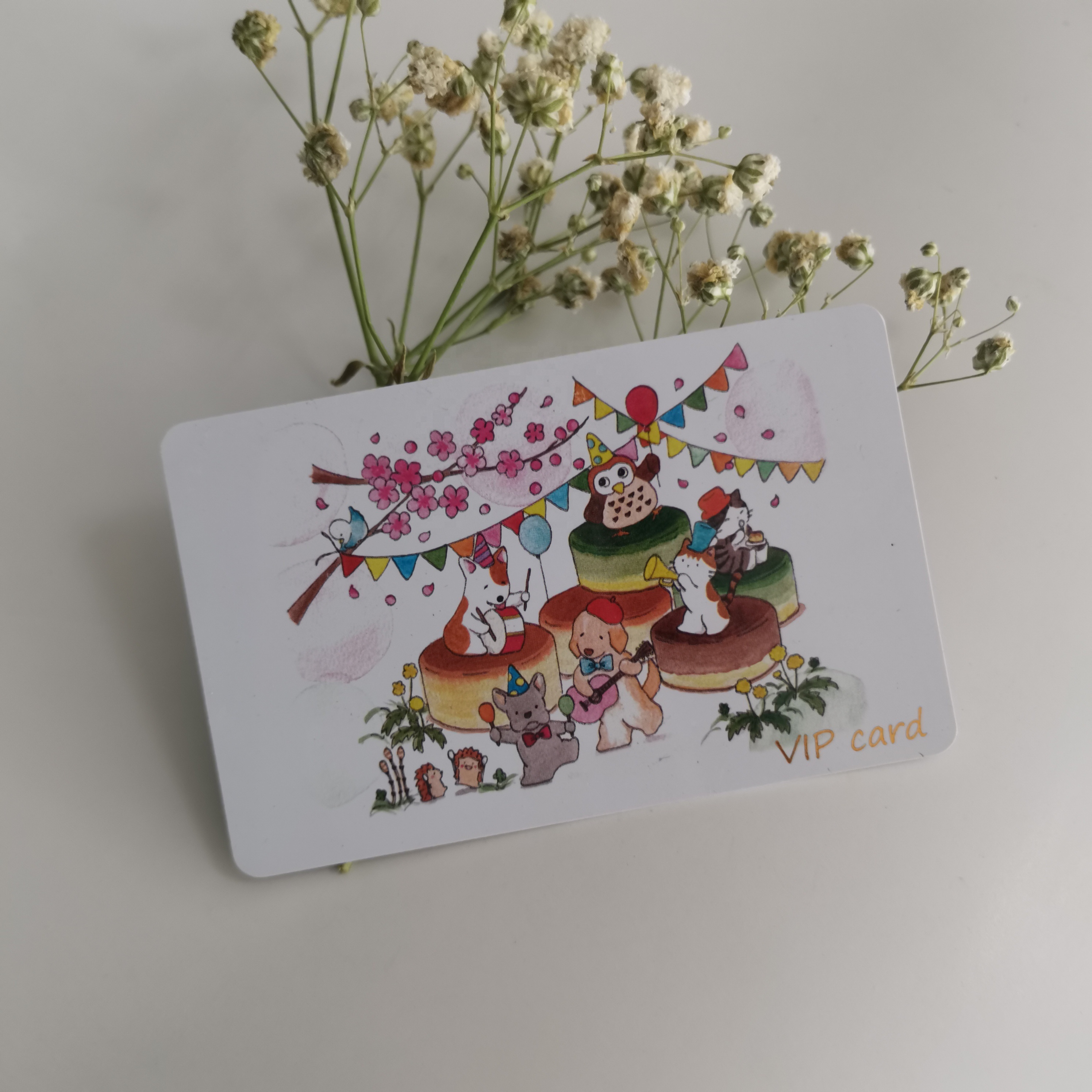 Customized Design Plastic Cards PVC Cards Flyer Printing for Business