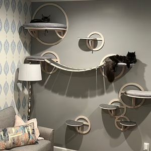 Muebles de pared para gatos que ahorran espacio, estante y cama de escalada con burbujas para gatos de interior - Product Image 4