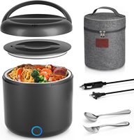 Boîte à lunch électrique portable, chauffe-plat portable, boîte à lunch chauffante, étanche, grande capacité, 100W