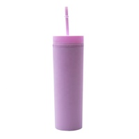 Gobelet en plastique personnalisé de 16 oz à double paroi avec couvercle et paille, écologique, isolation thermique de 6 à 12 heures, minimaliste, pour la rentrée scolaire