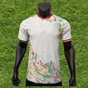 Camiseta de Fútbol de Camerún 2026 para la Copa Africana de Naciones, Versión Personalizada para Jugadores, Ropa Deportiva al por Mayor - Product Image 2