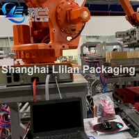 Palettiseur robotisé automatique Lilan personnalisé, machine de palettisation automatique pour cartons, canettes, bouteilles, barils, sacs, palettiseur robotisé