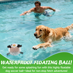 Pallone da Calcio per Cani KINYU Brevettato, Ecologico in PU, Interattivo per Allenamento all'Aperto, Resistente ai Morsi, Giocattolo per Animali Domestici - Product Image 4