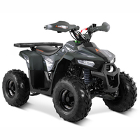 Tao Motor 2025 Nouvelle Quad 110cc Pas Chère pour Enfants
