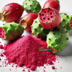 Polvo de cactus de pera espinosa de alta calidad, polvo de fruta de higo de Barbary, polvo de fruta de pera de Cactus - Product Image 2