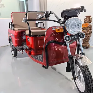 Triciclo motorizado para adultos, gran oferta de 500W para familias que transportan pasajeros