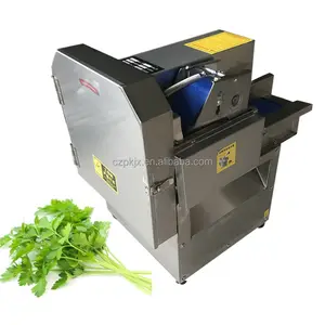 Machine de déchiquetage de coupe de laitue/chou/oignon vert chinois à haute efficacité 100-200 kg/h