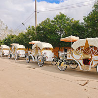 Calèche royale de style européen, calèche électrique pour mariage, chariot en acier pour 4-6 personnes, transport spécial pour visites touristiques