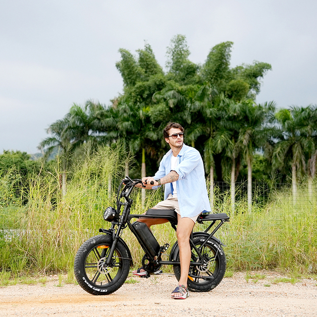 Adult Retro High Power 500W 750W 1000W 48V City 20inch Fat Tire E Moped Electric Bike Bicycle Ebike Fatbike EU USA Warehouse