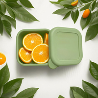Petite boîte à bento carrée en silicone réutilisable, mini boîte à lunch, bol à collation 100 ml, pliable, étanche, pour voyage, cuisine, pique-nique