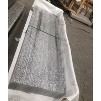 Bande de roulement d'escaliers G603 en granit gris blanc naturel de Chine