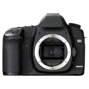फोटोग्राफी एक डिजिटल कैमरा के साथ, एक पेशेवर पूर्ण-फ्रेम DSLR, 5D मार्क द्वितीय