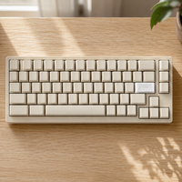 Capuchons de touches MHT blancs brillants en céramique pour claviers OEM et mécaniques