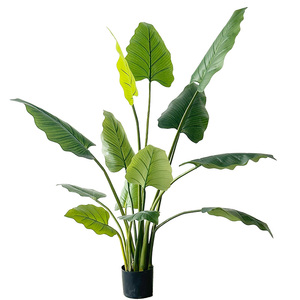 Albero Artificiale di Philodendron Erubescens in Plastica Verde Smeraldo, Leggero e di Alta Qualità, dall'Aspetto Naturale che Aggiunge Bellezza - Product Image 6