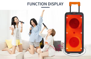 Potente Altoparlante NDR-1095 con Doppio Subwoofer da 8 Pollici 40W, LED RGB 5.3, Microfono Wireless, Trolley per Computer, Danza all'Aperto 2 - Product Image 4