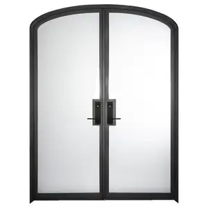 中国供应商照片钢门设计门锻铁和玻璃镀锌板每米价格