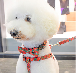 <span class=keywords><strong>Collar</strong></span> de cadena para perro a cuadros, lazo desmontable, retráctil, para exteriores - Product Image 6