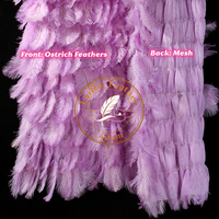 Nouvel Arrivage : Écharpe en Plumes d'Autruche Tendance, Vente en Gros, 2 Yards, Plumes d'Autruche Naturelles, Cape Écharpe pour Robe de Mariée, Mur de Plumes