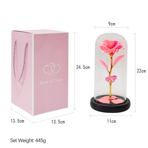 M-1338 cadeau de saint valentin or artificiel rose 22cm haute beauté <span class=keywords><strong>et</strong></span> <span class=keywords><strong>bête</strong></span> rose en dôme de verre avec lumière LED - Product Image 6