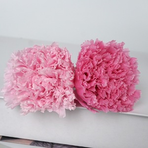 Clavel preservado de alta calidad al por mayor, <span class=keywords><strong>flores</strong></span> frescas eternas naturales para siempre para el regalo del Día DE LA Madre de vacaciones - Product Image 3
