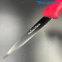 Couteau à steak, à fruits, à tomates, à pain, à lame dentelée, manche en polypropylène coloré, pour la maison