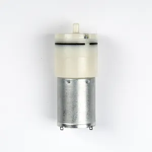 RUIST 15 L/Min DC hava pompası 12V Volt Mini küçük vakum pompası yüksek basınçlı