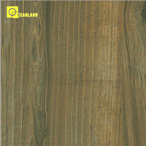 Somany Gạch Cửa Hàng Từ Gạch Nhà Máy-Phật Sơn Oceanland - Product Image 4