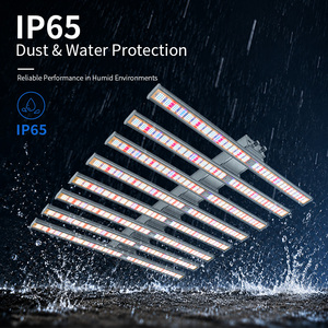 Luces LED <span class=keywords><strong>de</strong></span> Cultivo para Plantas <span class=keywords><strong>de</strong></span> Espectro Completo UV IR <span class=keywords><strong>de</strong></span> 1000 <span class=keywords><strong>1200</strong></span> Vatios COB IP65 para LM301B LM301H Evo para Invernadero Floración 3000K - Product Image 5