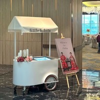 Chariot de vente ambulant compact pour desserts glacés, avec grande capacité de rangement et auvent résistant aux intempéries, idéal pour parcs, plages et activités commerciales.