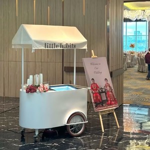 Chariot de vente ambulant compact pour desserts glacés, avec grande capacité de rangement et auvent résistant aux intempéries, idéal pour parcs, plages et activités commerciales. - Product Image 5