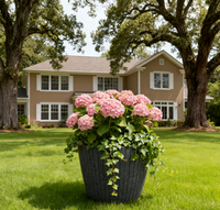 Jardinière en PP durable et légère, grande coupelle ronde avec rainures verticales, trous de drainage, finition blanchie pour usage extérieur/intérieur