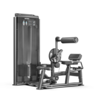 Appareil de musculation double pour abdominaux et extensions dorsales 2-en-1, pour abdominaux et renforcement du bas du dos, à résistance sélectionnable, usage commercial