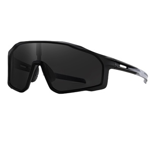 Venta caliente <span class=keywords><strong>WD</strong></span> S17101 TR90 Gafas de sol deportivas Moda al aire libre Protección UV TAC Gafas polarizadas para miopía Logotipo personalizado - Product Image 1