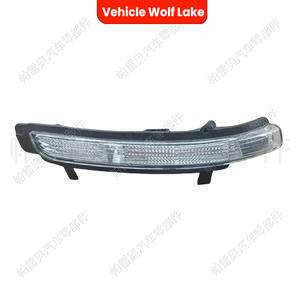 Luz Intermitente Lateral Izquierda/Derecha para Skoda Octavia A5 A6 Superb Mk2, Repuesto Nuevo de ABS - Product Image 4