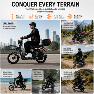 Bicicleta Eléctrica Tipo Scooter para Adultos, Precio de Fábrica, 48V 800W, Motor Trasero, 6 Velocidades, 800W, 2 Plazas, Digital, Acero, Negra, Bicicleta Urbana - Product Image 3