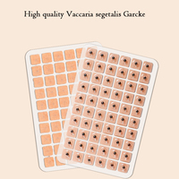 Meilleure vente de graines d'oreille de Vaccaria d'herbes chinoises naturelles, modèle de Massage d'oreille en Silicone, Kit d'acupuncture de graines d'oreille