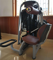 Máquina de extensión de espalda con pin de carga SK, equipo comercial de gimnasio para entrenamiento de fuerza muscular sentado