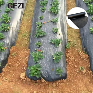 Film de paillage perforé pour le contrôle des mauvaises herbes, protection des plantes d'extérieur, des melons, des légumes et des fraises en agriculture - Product Image 1