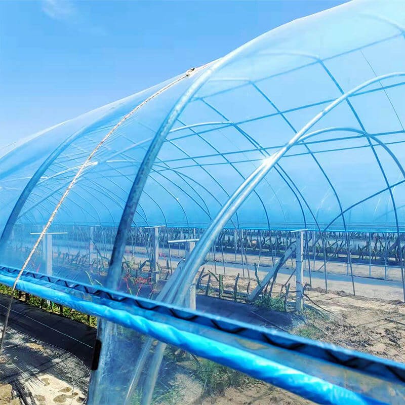 LDPE анти-УФ Солнечная тепличная пластиковая пленка ручной рулон