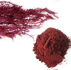 Polvo de Algas Rojas Puras, Ingrediente Botánico Marino Natural para Suplementos Dietéticos, Formulaciones de Alimentos Funcionales, Productos de Bienestar - Product Image 6