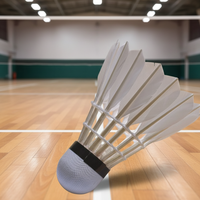 Badminton léger, personnalisé, durable, entraînement, classe, balle en plumes de canard, tête en plastique mousse, 12 pièces, badminton amateur