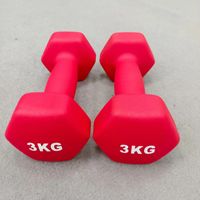 Haltères pour femmes, équipement de fitness à domicile, haltères hexagonaux en fonte solide pour étudiants, perte de poids, entraînement de force